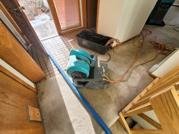 Best Flooded house restoration  in Millport, AL