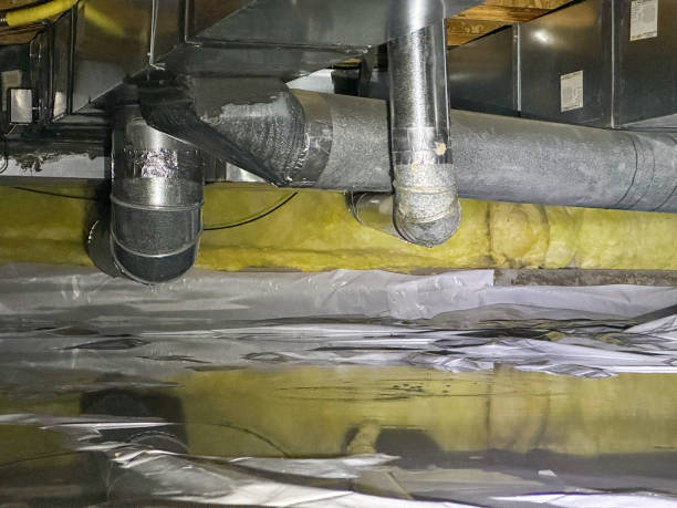Best Water damage restoration cost  in Millport, AL