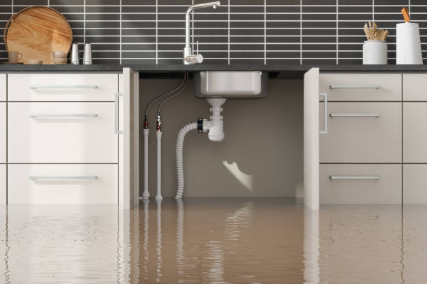 Best Professional water damage repair  in Millport, AL