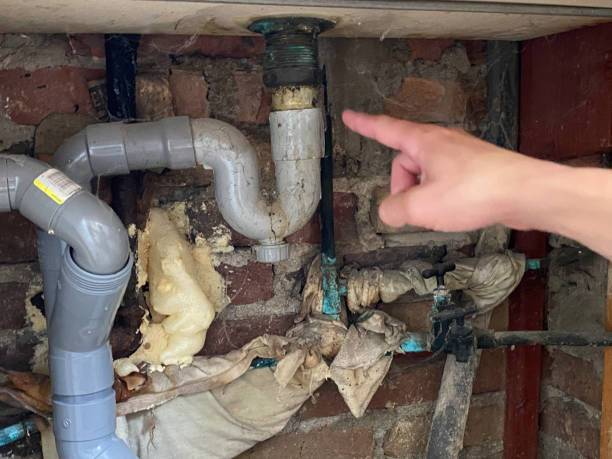Best Basement water damage restoration  in Millport, AL